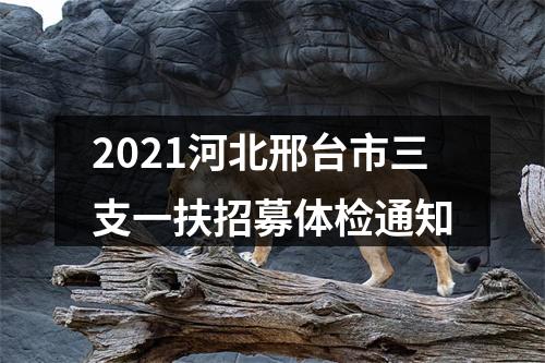 2021河北邢台市三支一扶招募体检通知 图片