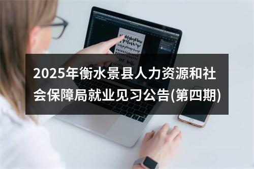 2025年衡水景县人力资源和社会保障局就业见习公告(第四期) 图片