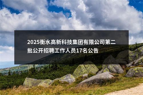 2025衡水高新科技集团有限公司第二批公开招聘工作人员17名公告 图片