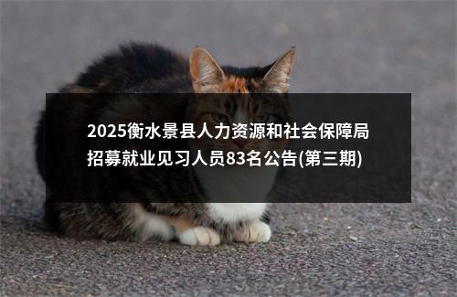 2025衡水景县人力资源和社会保障局招募就业见习人员83名公告(第三期) 图片