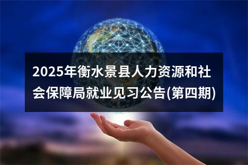 2025年衡水景县人力资源和社会保障局就业见习公告(第四期) 图片