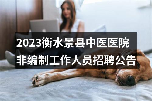 2023衡水景县中医医院非编制工作人员招聘公告 图片