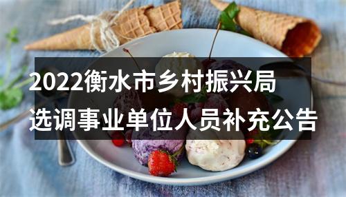 2022衡水市乡村振兴局选调事业单位人员补充公告 图片