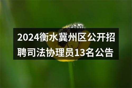 2024衡水冀州区公开招聘司法协理员13名公告 图片