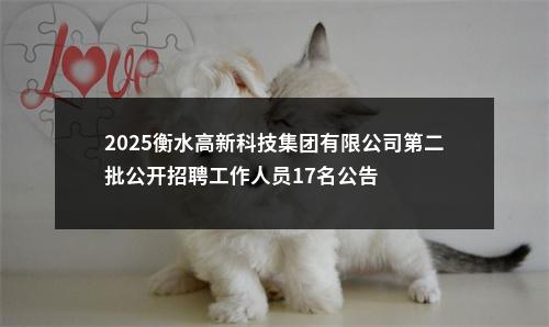 2025衡水高新科技集团有限公司第二批公开招聘工作人员17名公告 图片