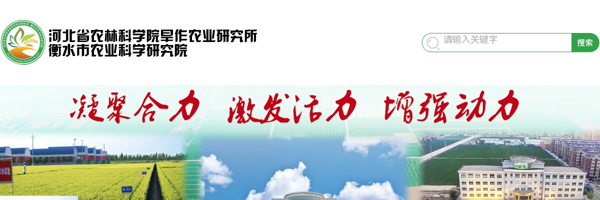 2024衡水市农业科学研究院招聘科研助理人员1名公告 图片