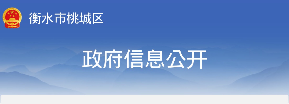 2024衡水市桃城区临时公益性岗位拟聘用名单公示 图片